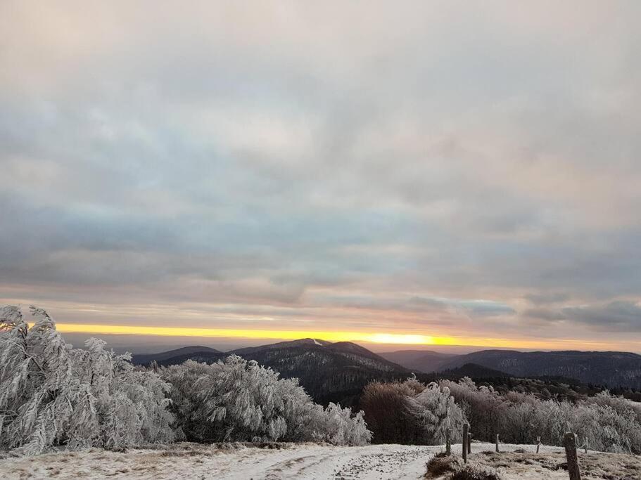 Maison Entre Ville Et Montagne Valdoie Esterno foto