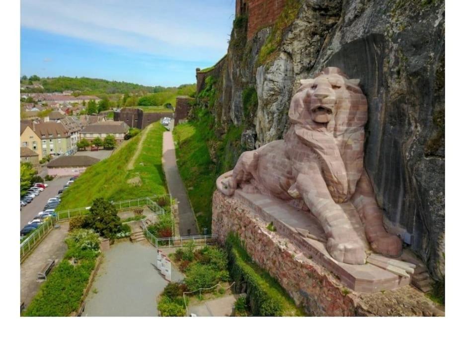 Maison Entre Ville Et Montagne Valdoie Esterno foto